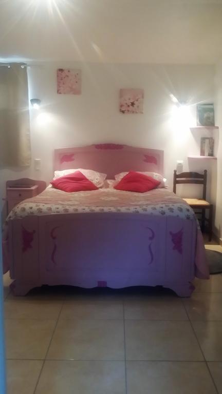 Chambres D'Hotes Anne-Marie Chatillon-sur-Indre Екстер'єр фото