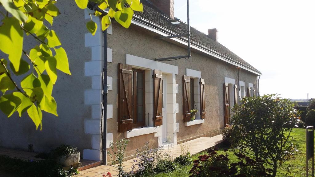Chambres D'Hotes Anne-Marie Chatillon-sur-Indre Екстер'єр фото