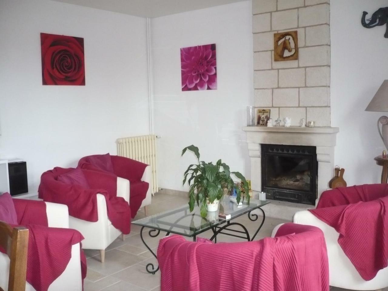 Chambres D'Hotes Anne-Marie Chatillon-sur-Indre Екстер'єр фото
